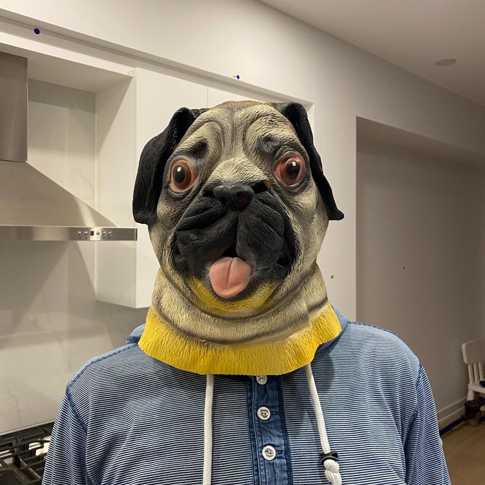 Latex pug mask